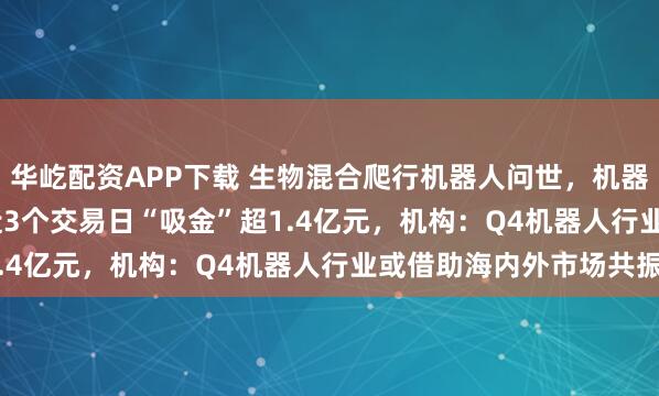 华屹配资APP下载 生物混合爬行机器人问世，机器人ETF（159770）近3个交易日“吸金”超1.4亿元，机构：Q4机器人行业或借助海内外市场共振