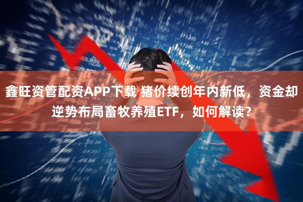 鑫旺资管配资APP下载 猪价续创年内新低，资金却逆势布局畜牧养殖ETF，如何解读？