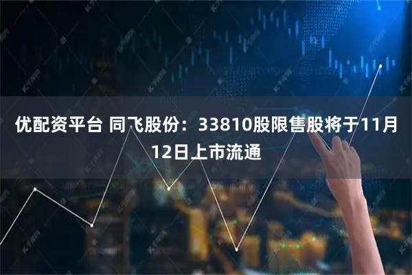 优配资平台 同飞股份：33810股限售股将于11月12日上市流通